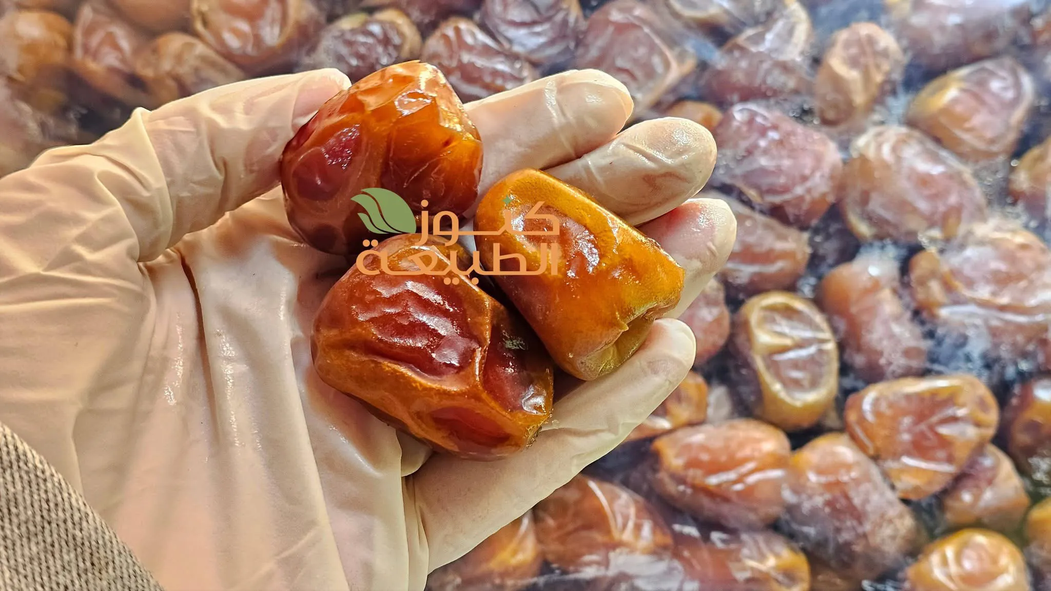 سكري رطب القصيم