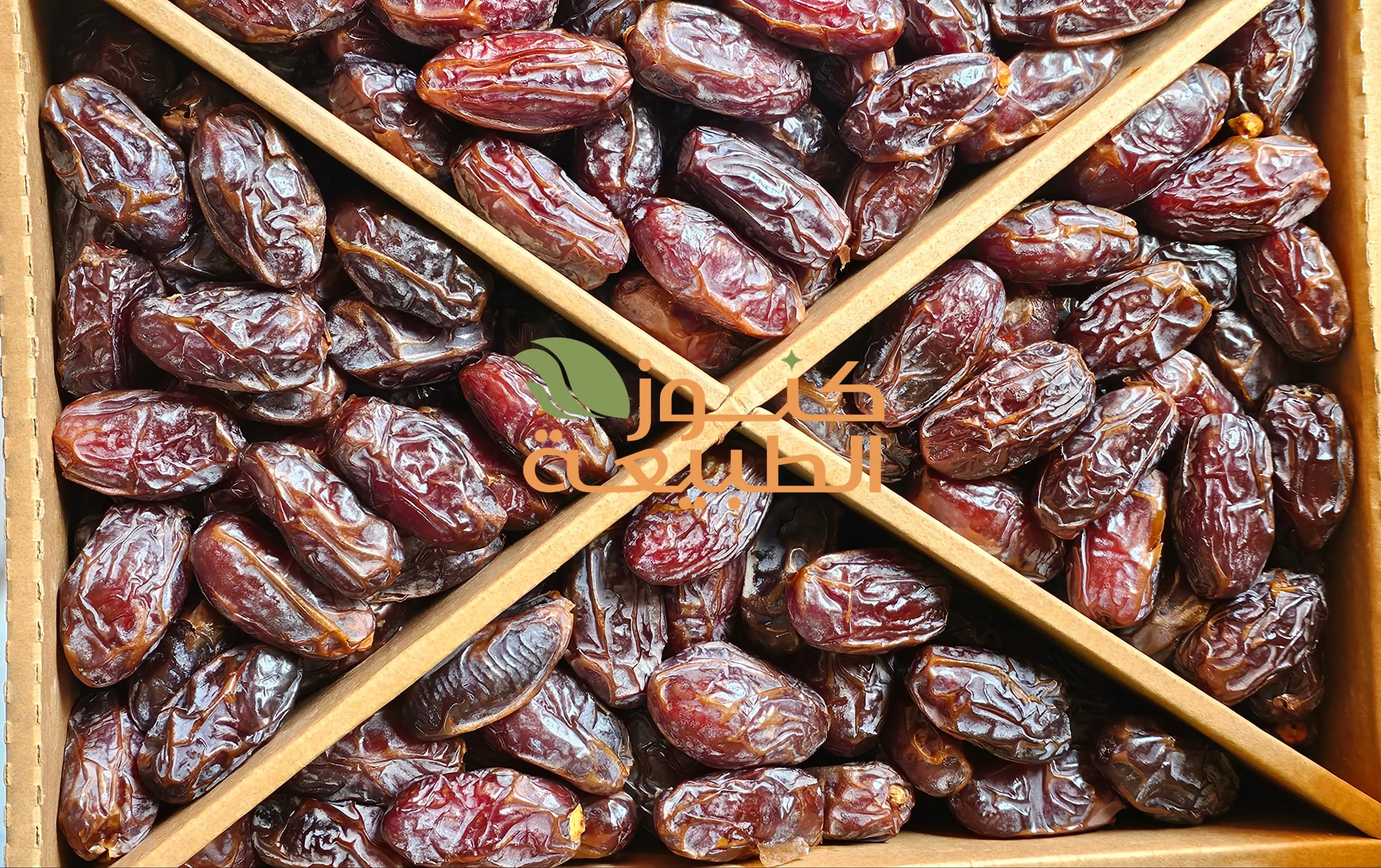 مجدول أردني (جامبو)