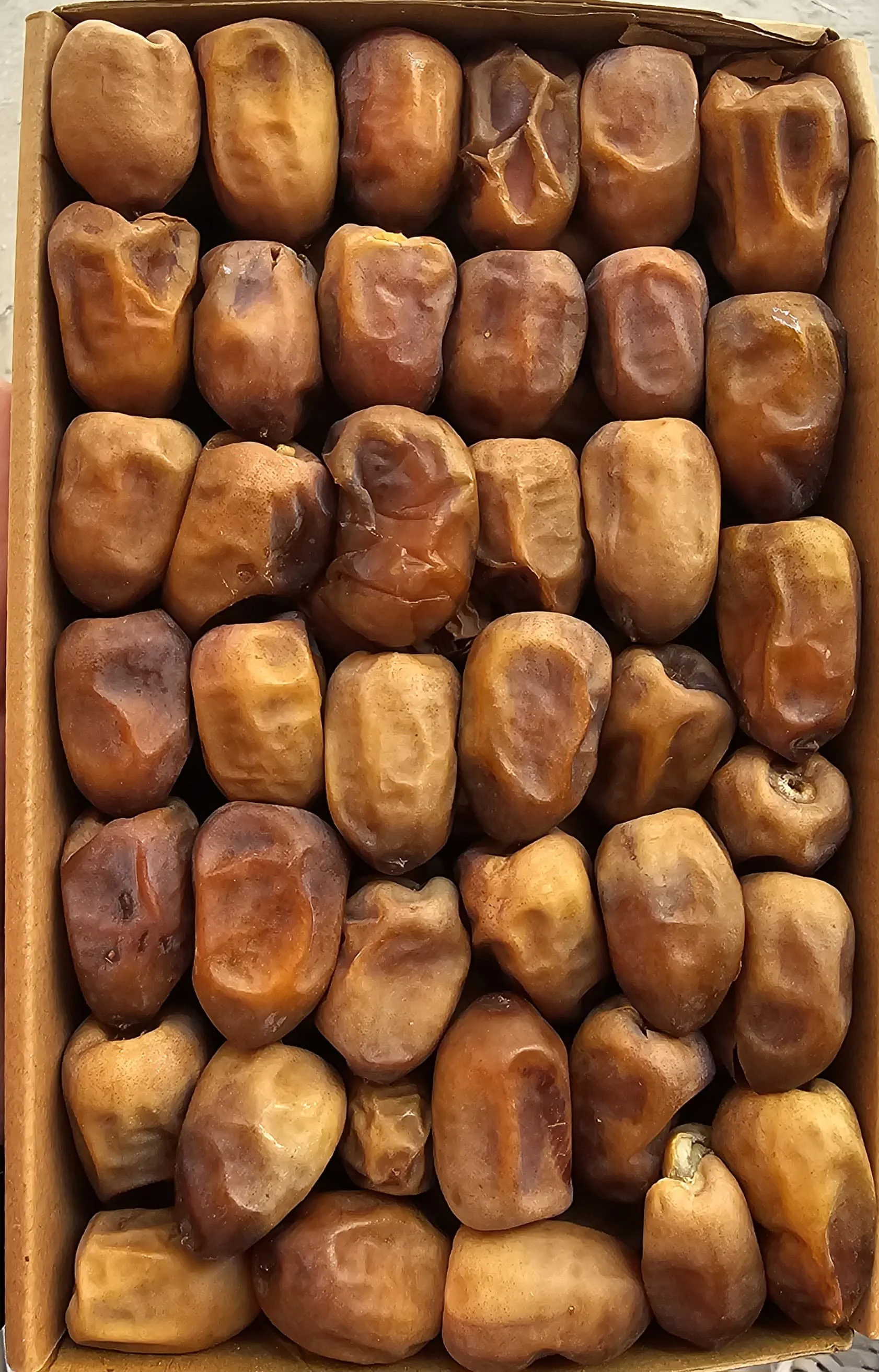 نبتة علي